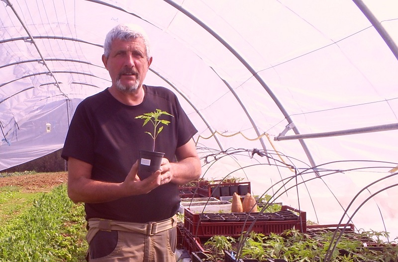 Maraîcher, jardinier et artisan