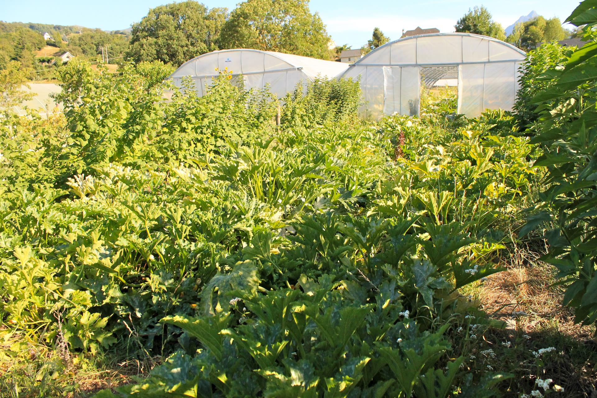 LES JARDINS DU DAVANTAYGUE