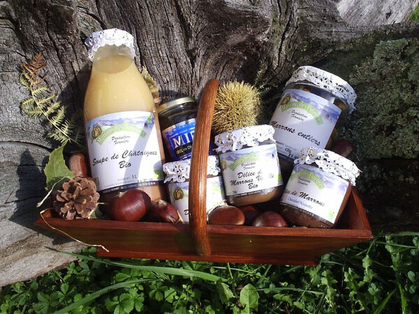 MARRONS DES PYRENEES