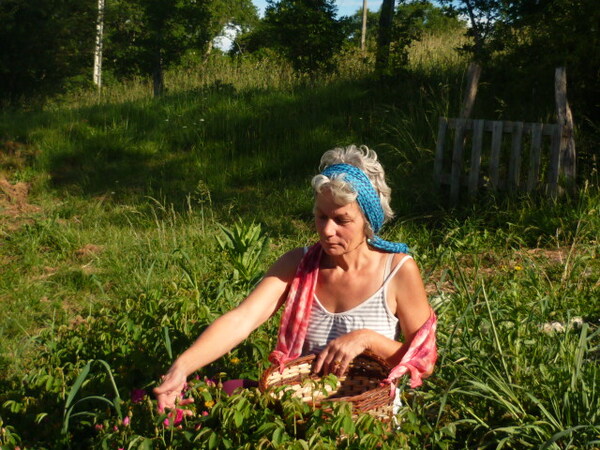 LES JARDINS D'ESMENOTE